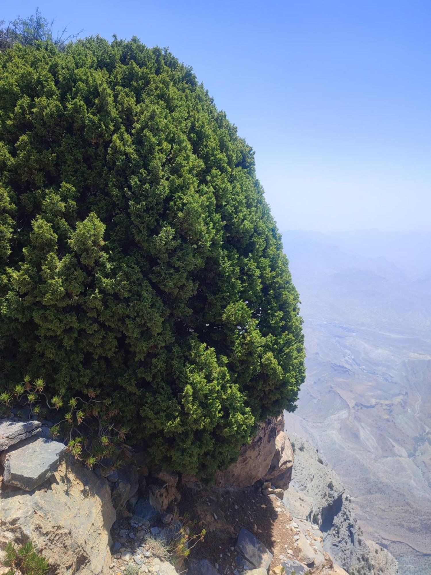Stone Rest House Jebel Shams Al Hamra Exterior foto
